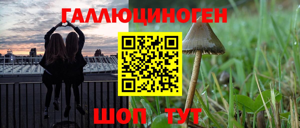 Галлюциногенные грибы мухоморы  Вход с VPN  Нижневартовск  Галлюциногенные грибы Psilocybine cubensis 